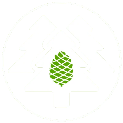 TTV-MV Logo